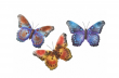 kovov� dekorace na ze� sada t�� mot�l� 11 - pohled 1 - www.colormarket.cz
