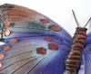 kovov� dekorace na ze� sada t�� mot�l� 11 - pohled 5 - www.colormarket.cz