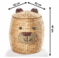 ko� na pr�dlo 2 - pohled 3 - www.colormarket.cz