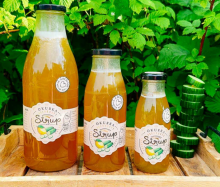 okurkov� sirup s du�inou