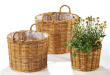 sada t�� ratanov�ch ko�� na rostliny 1 - pohled 1 - www.colormarket.cz