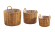 sada t�� ratanov�ch ko�� na rostliny 1 - pohled 2 - www.colormarket.cz
