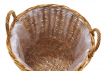 sada t�� ratanov�ch ko�� na rostliny 1 - pohled 4 - www.colormarket.cz