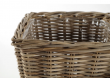 sada t�� ratanov�ch ko�� na rostliny 3 - pohled 3 - www.colormarket.cz