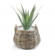 ko� na rostliny z kubu ratanu 10 - pohled 1 - www.colormarket.cz