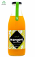 sirup mango s du�inou 1000ml - www.colormarket.cz